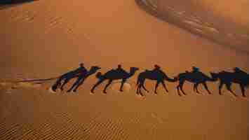 Photo camel caravan silhouette on desert dunes