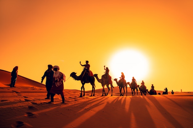 Foto carovana di cammelli al tramonto nel deserto del sahara.