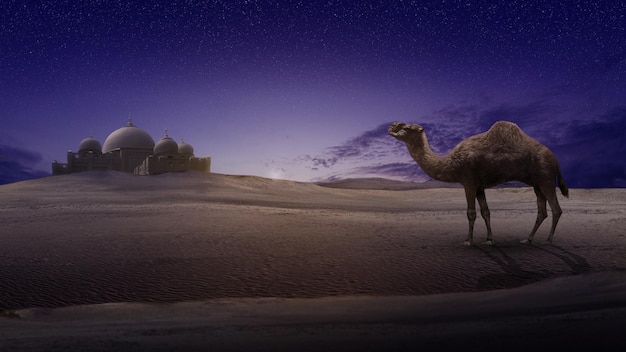 Camel crossing the desert