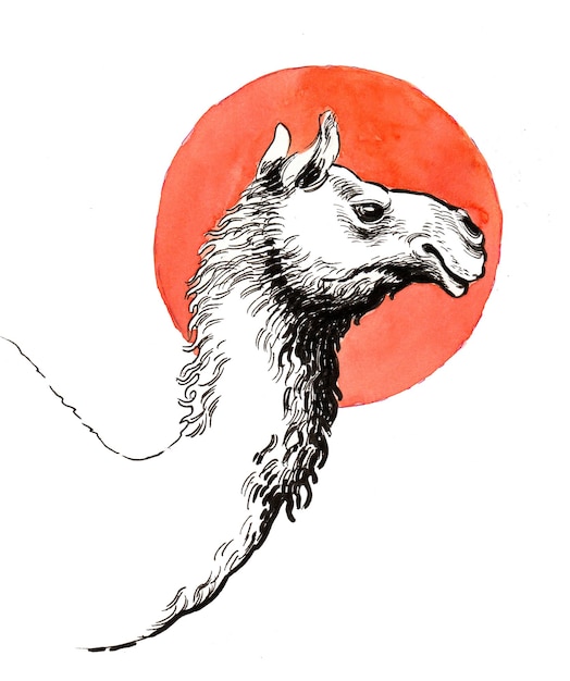 낙타 머리와 붉은 태양. 잉크와 수채화 그리기