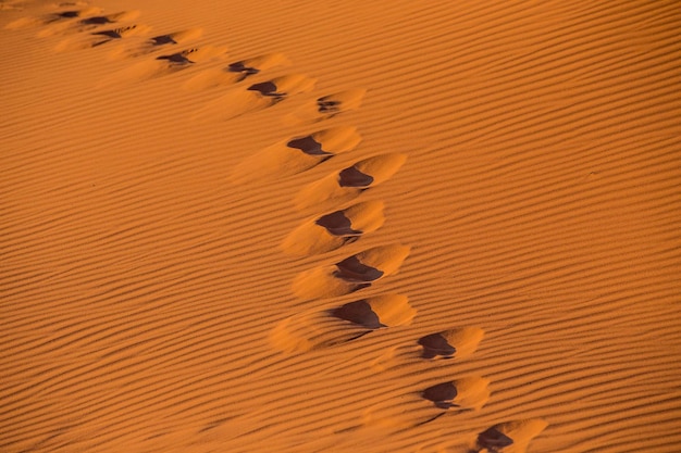 Camel\'s footprints on the orange sand in wadi rum desert,\
jordan. camel footprints background