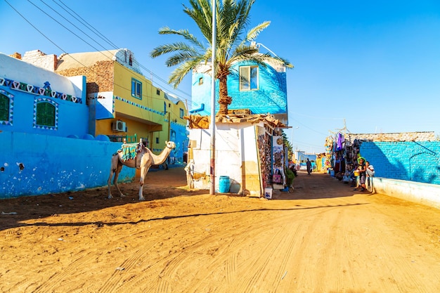 Верблюд на улице в знаменитой нубийской деревне Асуан, Египет, 17 октября 2023 г.