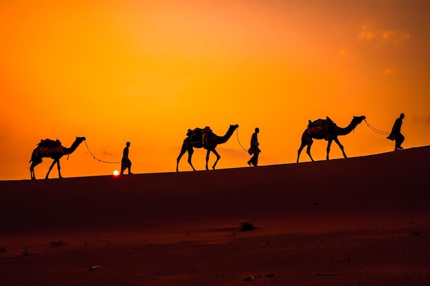 낙타, 낙타 드라이버 석양입니다. 일몰에 타르 사막 Jaisalmer, Rajasthan, India입니다.