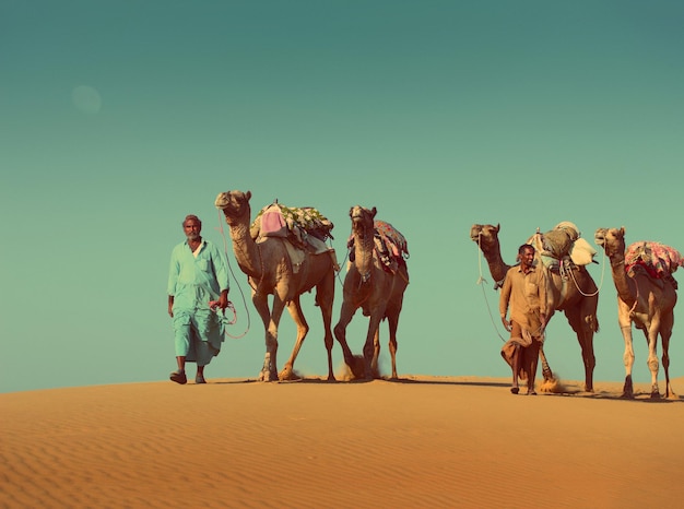 Cameleers with camels in desert vintage retro style