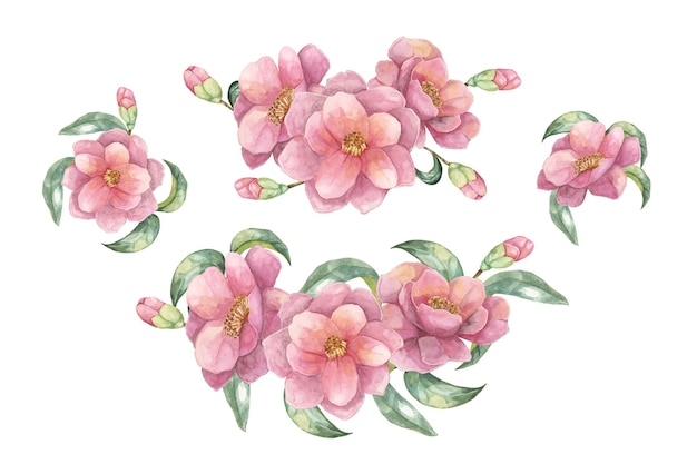 camelia japonica set in watercolor compositions of pink fully blossomed flowers with leaves cliparts for cosmetics packaging textile design