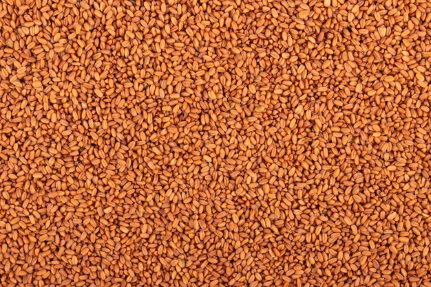 Camelina sativa seeds background Seeds of camelina or false flax Raw material for the production of camelina oil Top view