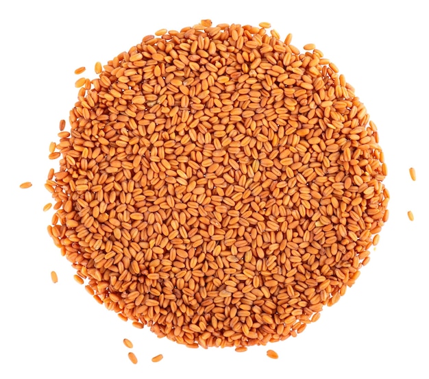 Семена рыжика сатива, изолированные на белом фоне Семена рыжика или ложного льна Сырье для производства масла рыжика Вид сверху
