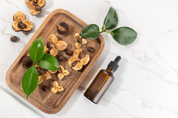 Camellia essential oil bottle and camellia seeds on wooden tray. Beauty, skin care, wellness