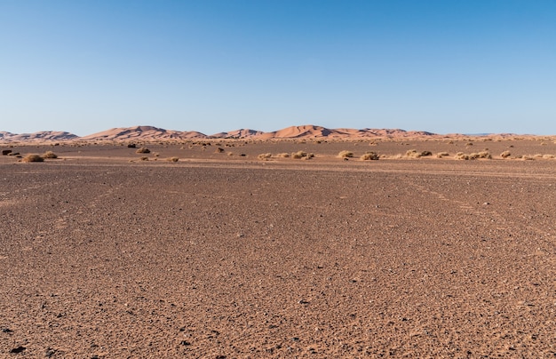 Photo camels, dromedaries and berebers, merzouga morocco