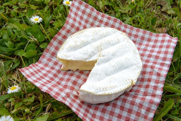 Camembert op een rood vierkantentafelkleed op gras