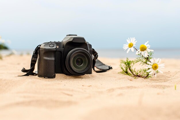 Camera liggend op het zand op het strand in de buurt van de wateren van de zee en de volgende groeiende kamillebloem