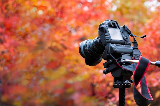 Camera op herfst achtergrond.