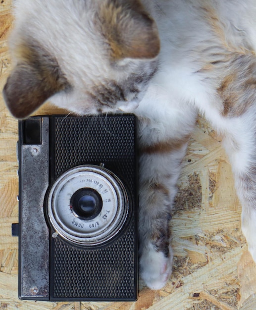 A camera with the word canon on it