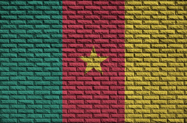 Cameroon flag is painted onto an old brick wall