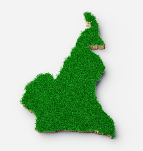 Cameroon map soil land geology cross section with green grass 3d illustration