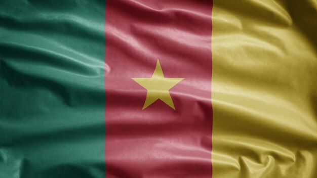 Cameroonian waving flag in the wind