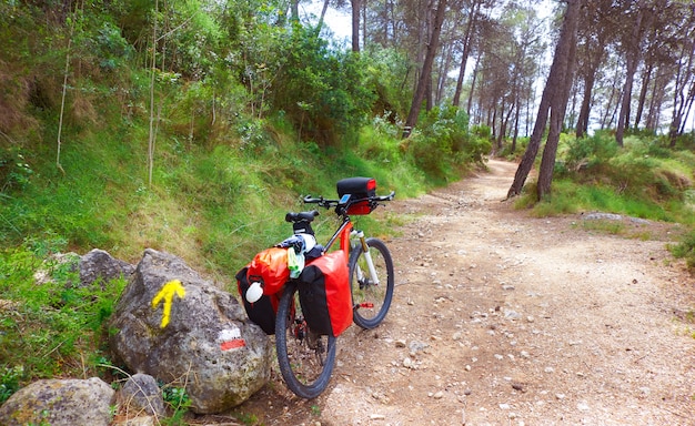 Foto camino de santiago in bicicletta san giacomo