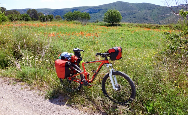 Camino de Santiago in fiets Saint James