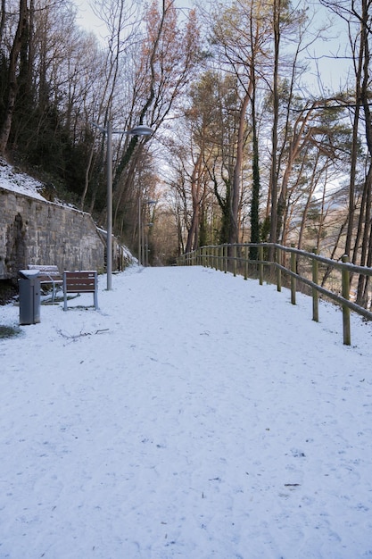 camino nevado in de pirineo