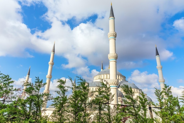 Camlica Moskee in de bomen Istanbul Turkije