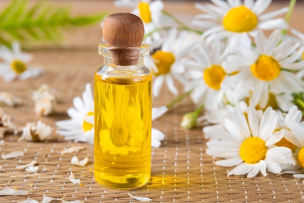Camomile flowers and cosmetic oil in bottle on rattan mat Close-up