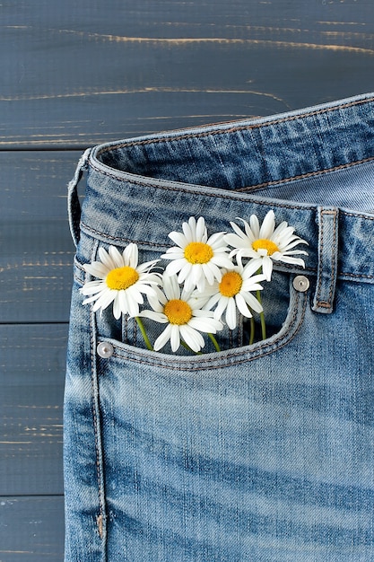 Camomile flowers in jeans pocket.