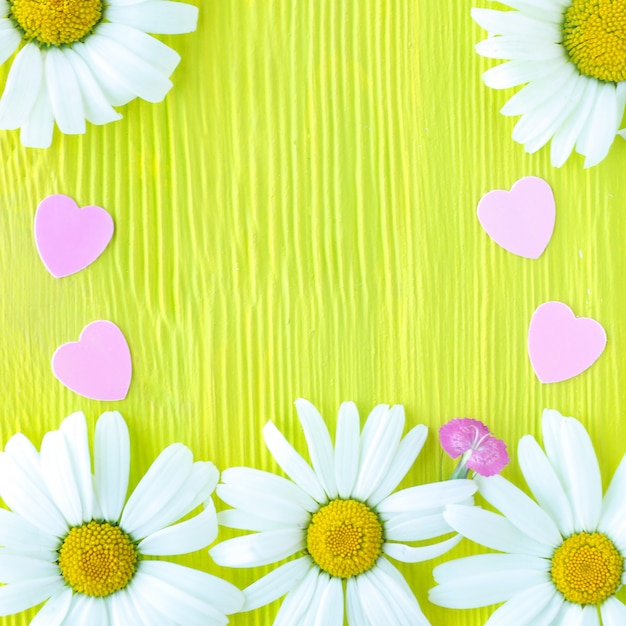 カモミールの花と黄緑色の木製テクスチャ背景にプラスチックのピンクのハート。コピースペース。