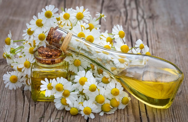 Camomile oil, white daisy oil