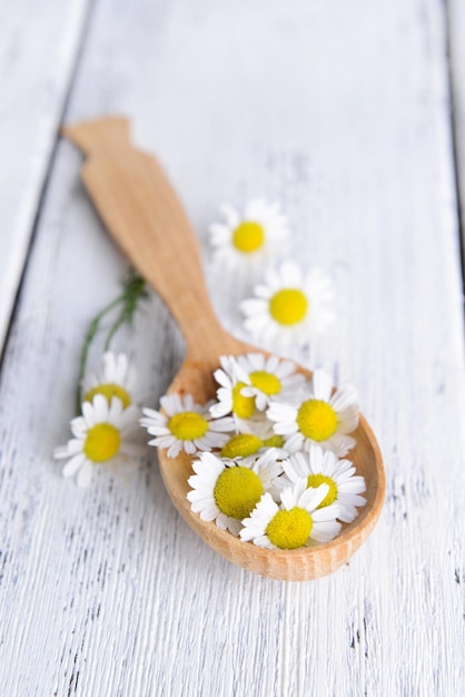 Photo camomile in wooden spoon on table closeup