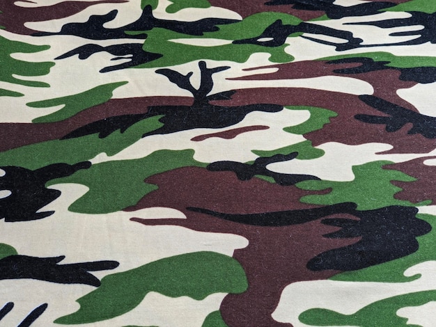 A camouflage fabric pattern