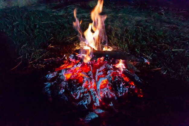 Camp fire at night in the forest