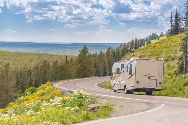 Camper driving down road in the beautiful countryside among pine trees and flowers