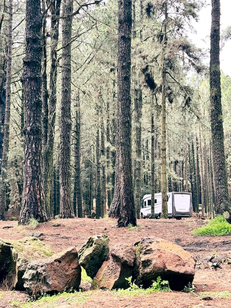 Camper van camper parkeren in het bos genieten van vrijheid en vanlife levensstijl alleen Reizen avontuur reis concept voertuig Verhuur van camper voertuig en hoge bomen bossen Mensen reizigers buiten