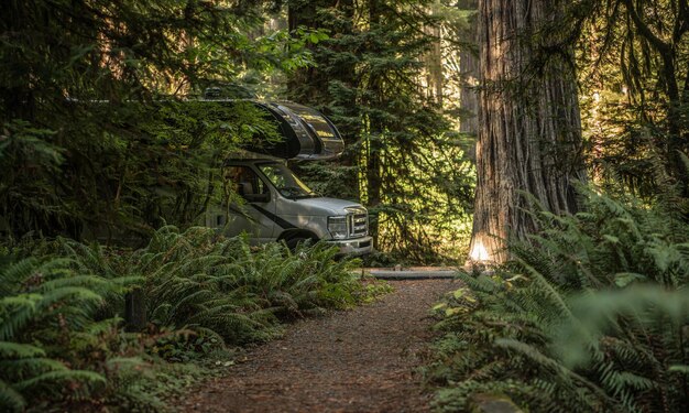 Photo camper van in forest