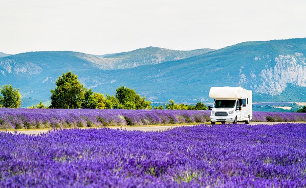 Camper in movimento attraverso un campo di lavanda in provenza, francia