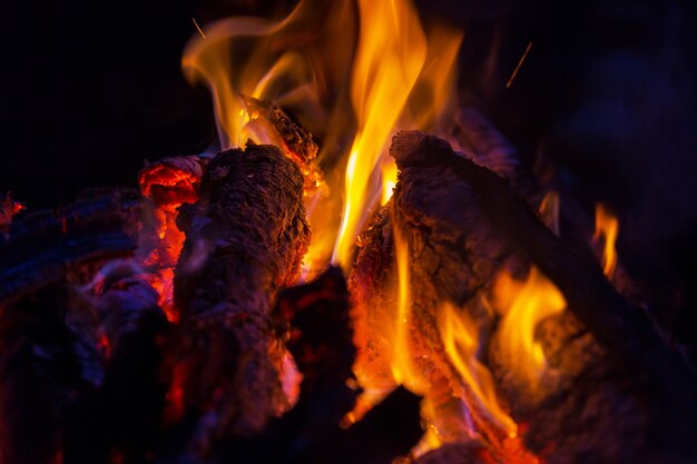 Campfire, close up shot