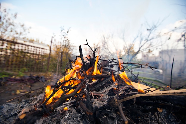 Campfire on nature