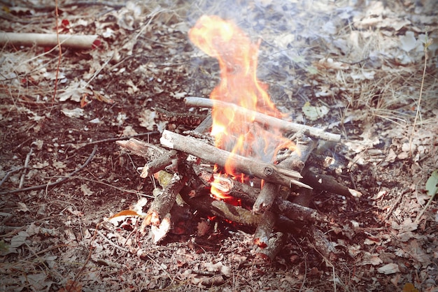 Campfire in the wood