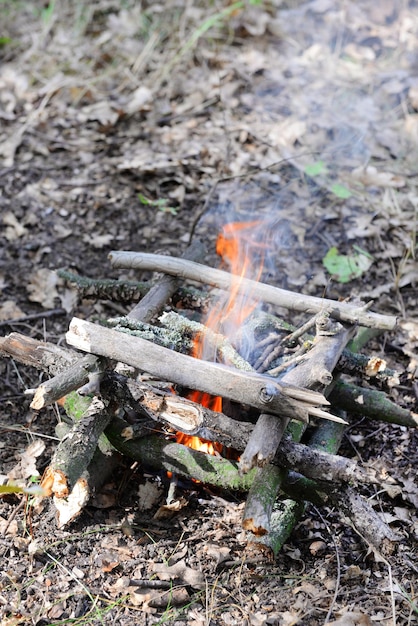 Campfire in the wood