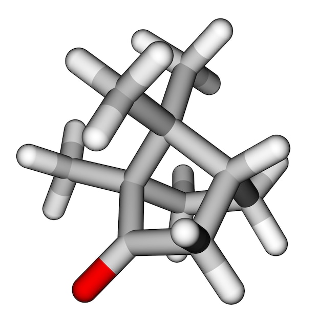 Молекулярная модель камфоры d