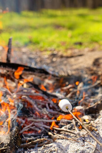 Camping bonfire, frying marshmallows at the stake