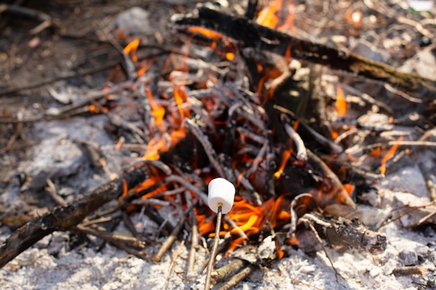 キャンプ焚き火、危機に瀕しているマシュマロを揚げる