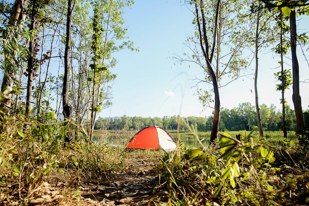 Camping in a forest. Morning scene with tourist tent in green forest near of the lake