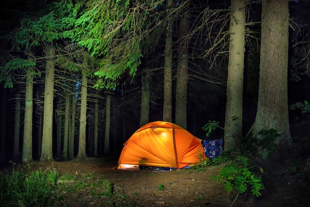 森でのキャンプ。暗い夜の木の下のオレンジ色に照らされたテント