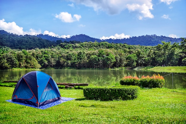 Foto campeggio in erba verde con sfondo azzurro del cielo