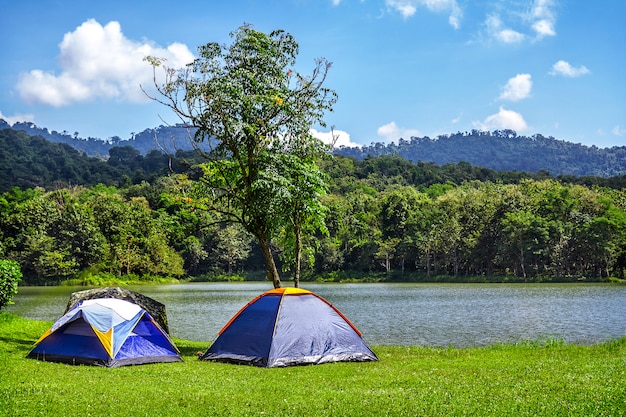 写真 青空の背景と緑の草のキャンプ