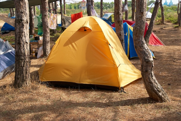 Camping in het bos met veel tenten