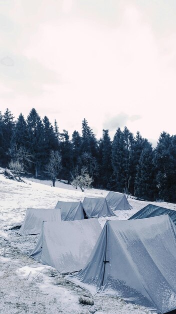 Camping in the mountains