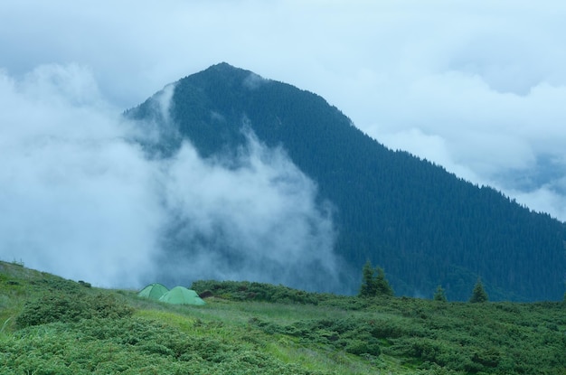 산속 캠핑