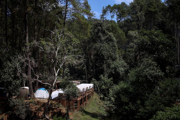 A camping site and tents on a remote spot near mountain forest